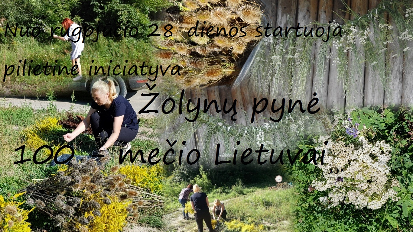 Read more about the article Projektas ,,Augu ir kuriu Lietuvai”